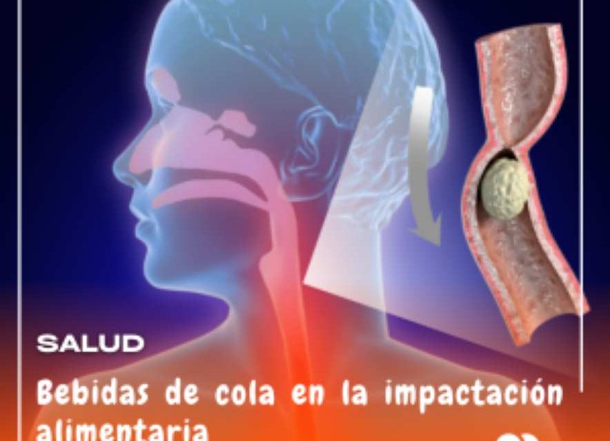 Eficacia y seguridad de la cola gastrointestinal