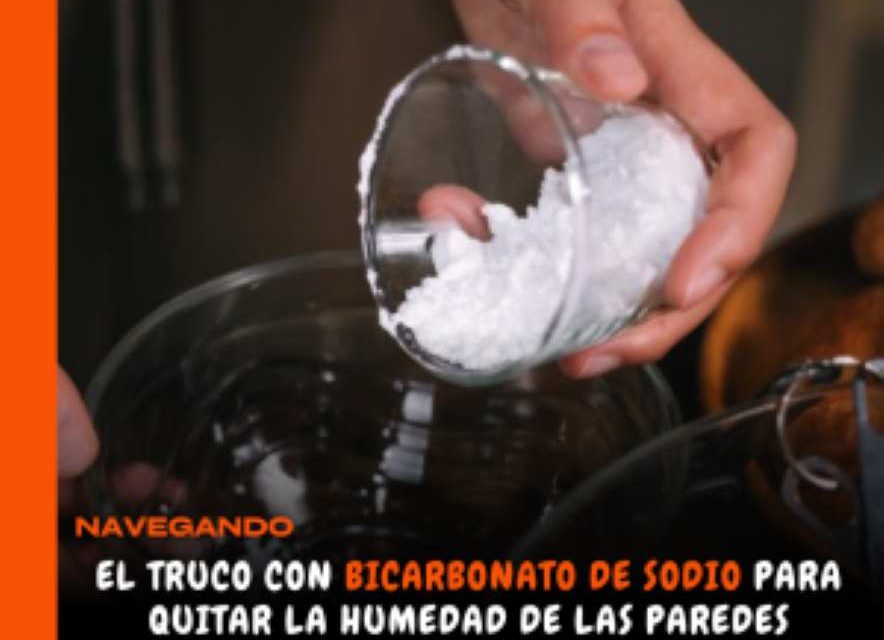Eliminar humedad de paredes con ingredientes caseros.