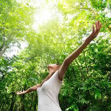 Descubre la relación espiritual con la naturaleza