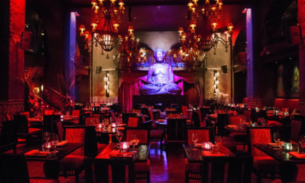 Establecimientos y DJ Famosos en la Escena Lounge y Chill-Out